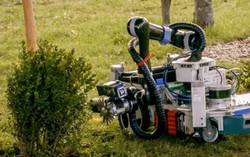 Robot làm vườn cắt tỉa hoa hồng và cây cảnh chính xác từng centimet