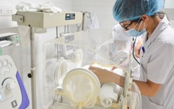 Mổ cứu con vì mẹ phát bệnh dại
