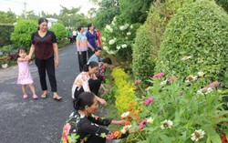 Những tuyến đường hoa “sáng, xanh, sạch, đẹp” ở Tam Bình 