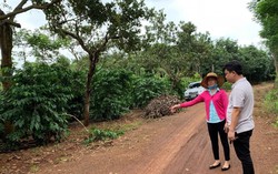 Phú Riềng (Bình Phước): Nhiều dấu hiệu vi phạm tố tụng, bỏ lọt tội phạm trong vụ hỗn chiến