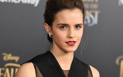 Emma Watson ủng hộ 1,4 triệu USD gây quỹ chống nạn quấy rối tình dục