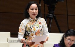 Đại biểu Quốc hội chỉ ra lỗ hổng pháp luật về 'xử phạt nguội' vi phạm giao thông