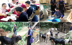 Hơn 100 ngàn lượt gia đình được tiếp cận nguồn tín dụng 'xanh'