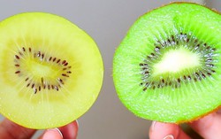 Trái kiwi có nhiều lợi ích sức khoẻ mà bạn không biết