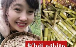 9x làm giàu từ 3 đặc sản quê hương