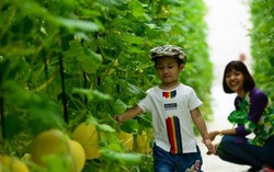 Mùa hè đáng nhớ tại nơi 'ươm mầm' cuộc sống xanh