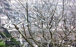 Băng tuyết phủ trắng miền núi