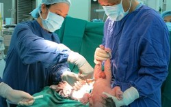 Vinmec áp dụng phương pháp truyền ối mới cứu thai nhi sinh non