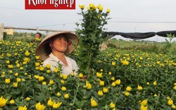 Thoát nghèo nhờ ‘ép đất’ nở hoa