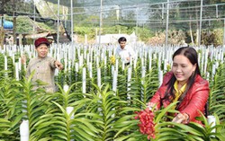 Hòa Vang: Hiệu quả lan tỏa từ “5 không, 3 sạch”