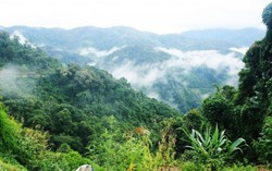 Đại ngàn Tây Giang say đắm lòng người