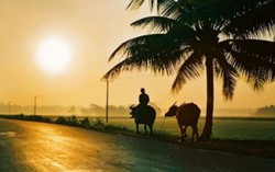 Muốn thực hiện ước mơ sống độc lập thì bị chồng doạ bỏ