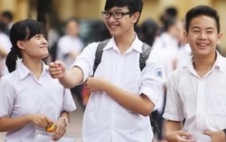 Sát ngày thi, cha mẹ vẫn không ngừng thúc con học