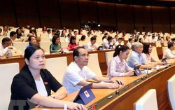 Từ 1/1/2020, người đã uống rượu, bia sẽ không được lái xe