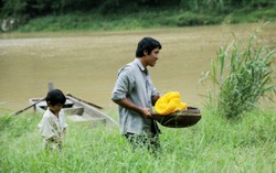 Sau trả Bằng khen Cánh diều, “Cha cõng con” đoạt nhiều giải thưởng lớn