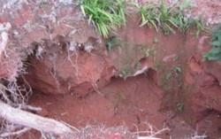 3 phu vàng bị ngạt khí ở hang Nước