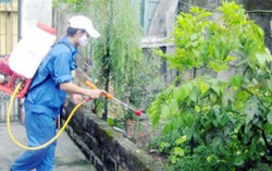 Một phụ nữ Việt bị nhiễm Zika khi đi du lịch Nhật Bản