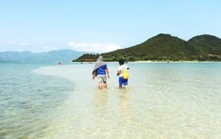 Cuộc dạo chơi đầy cảm xúc trên con đường dưới biển