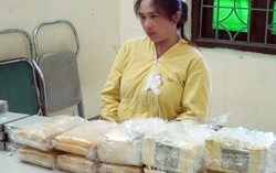 Triển khai Tháng hành động phòng, chống ma túy năm 2019