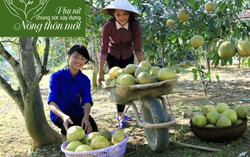 Lễ hội bưởi lần đầu tiên tổ chức tại Yên Bái