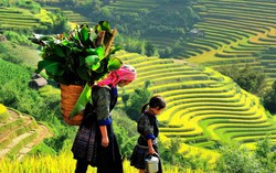 Lào Cai phát triển mạnh ngành dịch vụ, du lịch 