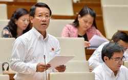 ‘Ngành giáo dục không mạnh dạn đối diện sự thật!’