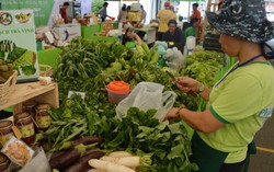 Phiên chợ xanh tử tế đến với miền đất võ 