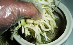 Lọ dưa muối tình nghĩa