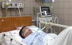 Rắn bò vào nhà cắn người nguy kịch