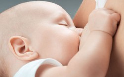 Tìm ra loại kháng sinh mới từ sữa mẹ
