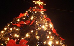 6 địa chỉ thắp sáng cây thông Noel không nên bỏ lỡ