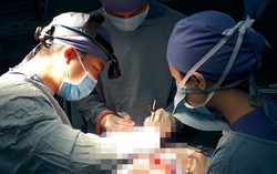 Cứu sống bệnh nhi suýt vỡ động mạch phổi do mắc bệnh hiếm gặp
