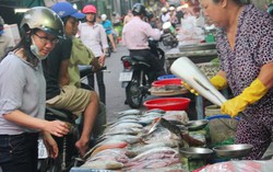 TPHCM nói không với thực phẩm giả, kém chất lượng