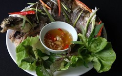 Đậm đà hương vị cá lóc hấp muối xả