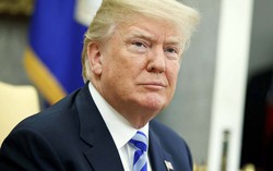 Tổng thống Donald Trump: Sẽ ngừng cấp quốc tịch cho trẻ nước ngoài sinh tại Mỹ
