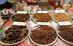 Du xuân thưởng thức món lạ, dễ rước họa