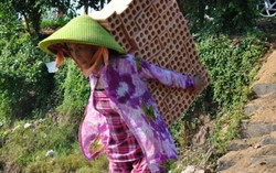 Cưỡng bức lao động bị phạt tù đến 12 năm