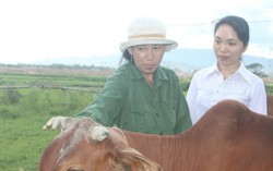 Biết tận ngõ, gõ tận nhà