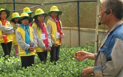 100 trẻ nghèo học giỏi tham gia trại hè tại Đà Lạt