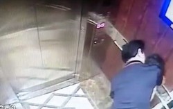 Hội Bảo vệ quyền trẻ em TPHCM đề nghị khởi tố vụ án bé gái bị dâm ô trong thang máy