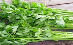 Điều gì sẽ xảy ra với cơ thể nếu bạn ăn cần tây trong 1 tuần?