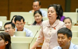 Tranh luận trên nghị trường liên quan vụ án bác sĩ Hoàng Công Lương