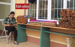Giảm nghèo bền vững từ cây quế hữu cơ