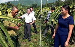 Thanh Hóa: Phụ nữ cùng nhau làm kinh tế, thoát nghèo bền vững