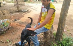 Chú chó 3 chân cứu bé sơ sinh bị mẹ chôn sống