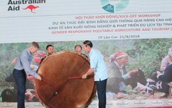 Gần 300 tỷ đồng cho thúc đẩy bình đẳng giới trong nông nghiệp, du lịch