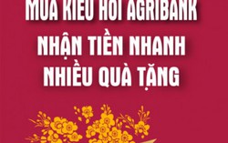 Mùa kiều hối Agribank, Nhận tiền nhanh - Nhiều quà tặng
