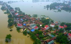 Thủ tướng: Hà Nội cần biện pháp mạnh mẽ hơn hỗ trợ dân vùng ngập lụt