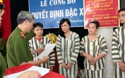 Nhiều loại tội phạm không được đặc xá trong năm 2016