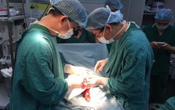 6 tiếng 'giờ vàng' nối lại bộ phận cơ thể đứt rời